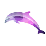Superior Dolphins [Ro-Ghoul]