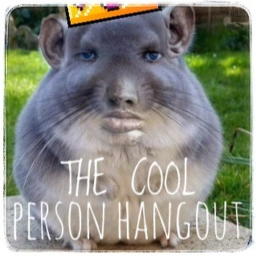 Cool People Hangout