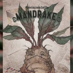 ʚmandrakeɞ