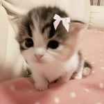 Cupid><