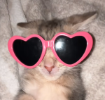 Hi my oof