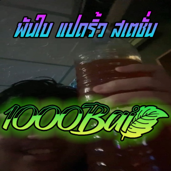 A Thousand Leaves, Eight Ranges, Station