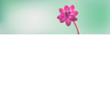 MURDERS BY TALLY HALL?????????????????????????????