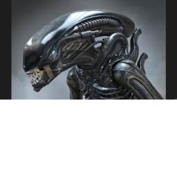 Predator