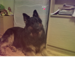 Neo123456789