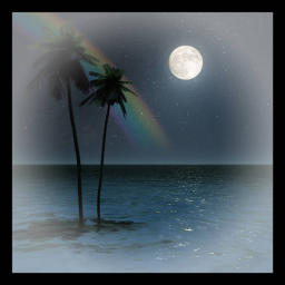 Hawaii Part II