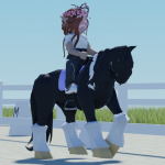 Red Branch Equestrian