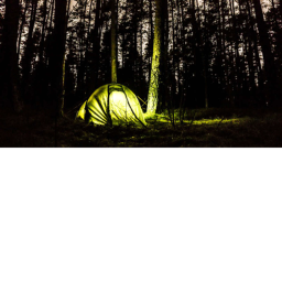 camp carni     (horror game look in description..)
