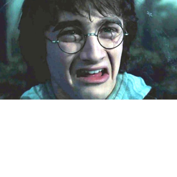 Nur für Harry Potter-Fans