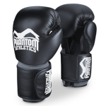 Pro Fighting studios