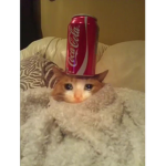 sad michis