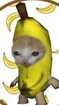 Banana Gang~
