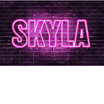SKY STAR GALL Group