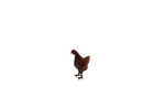 ChickensMakeGames