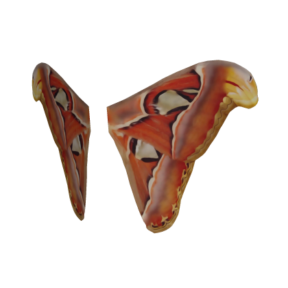 Attacus atlas wings