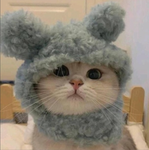 15+ 예은이네