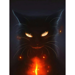 Catfire da anime boy