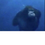De BIG monkey minions