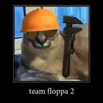 team floppa 2