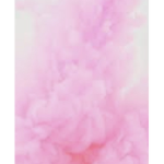 #The Pink Squad
