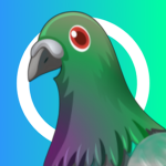The Pigeon United Group