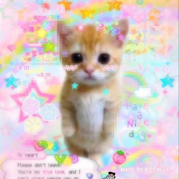 🍮🦴ʚ🍓ɞ🎀🐾
