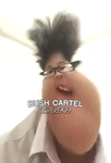 Bush Cartel