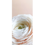 Josefine’s flofy’s