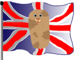 Guinea Pig Lovers