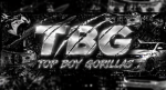 TBG 1900 TOP BOY GORILLAS