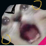 Lønlëy pëøplë