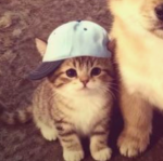 THUGGGGGGGGGGGSSSS