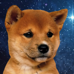 Puppers Studio