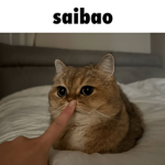 3436