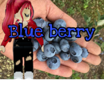 [Blue baby] fan group!