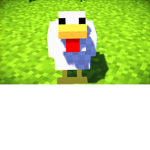 i love chicken and cats