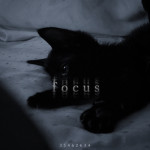 ; focus