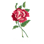 Blooming Apparel