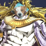 Dog52841