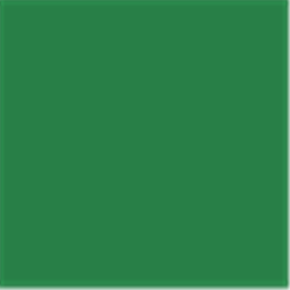 Dark Green Roblox decal