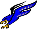 Milwaukee FalconKings