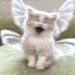A~L~M~O~N~D ~ M~I~L~K ~