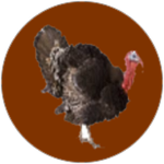 Ranksgiving