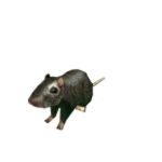 Isabeast450