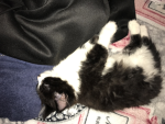 The gurl who likes to sleep on floor