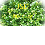 JSD,S FAN CLUB