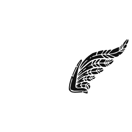 Black And White Wings Roblox item