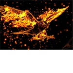 Flame ######