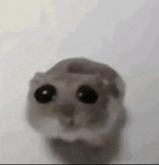 TheRandomSquadForPeopleLikeYou
