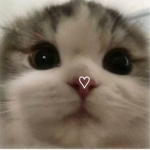 caim<3